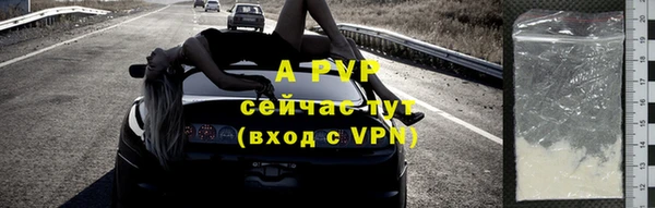 твердый Пересвет