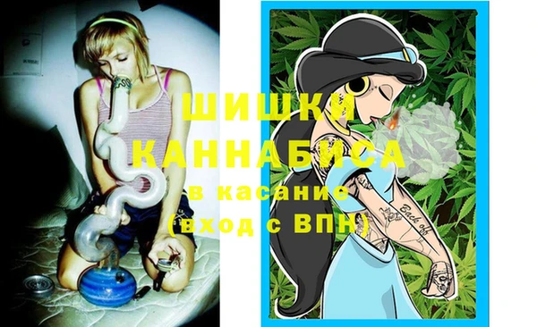 первитин Заводоуковск