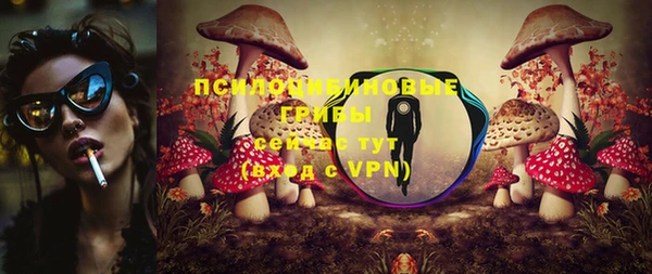 мдпв Переславль-Залесский