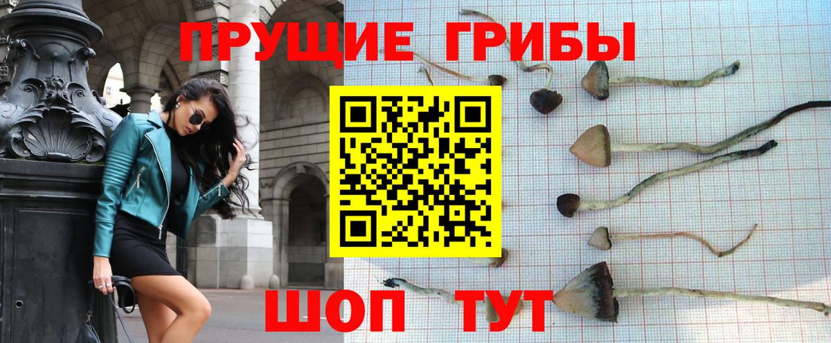 как найти закладки  Вход с VPN  Мыски  Галлюциногенные грибы мухоморы 